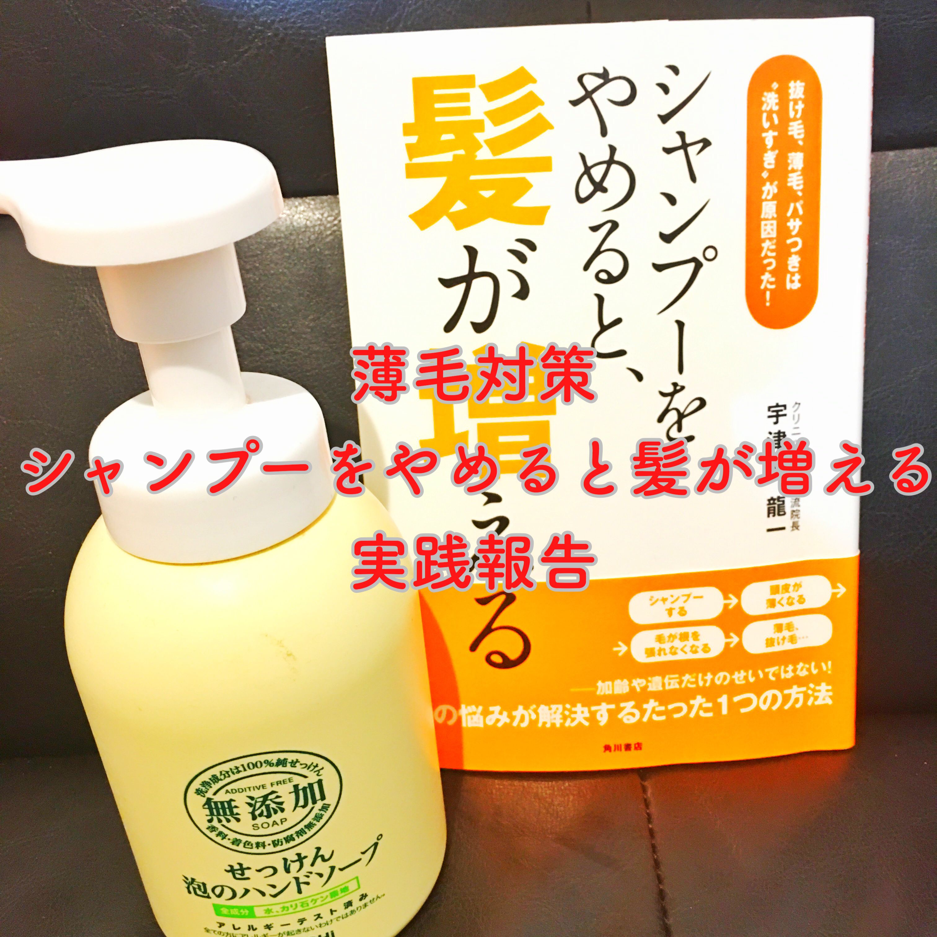 薄毛対策 シャンプーをやめると髪が増える マンガで分かる肉体改造 湯シャン編 スキンケア編 実践報告 海燕 カイエンの釣り旅
