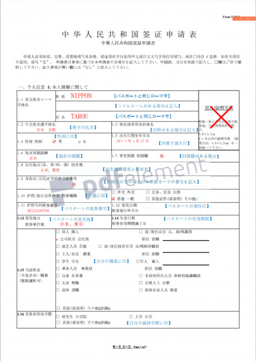 中国のvisa ビザ 査証 申請に必要な書類と記入例 海燕 カイエンの釣り旅