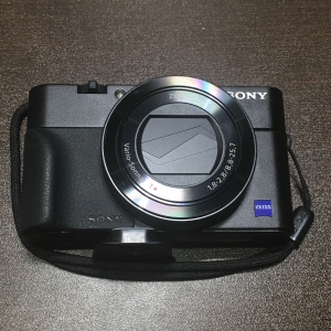 RX100 V (DSC-RX100M5A)】ミニマリストのカメラとSDカード選び 
