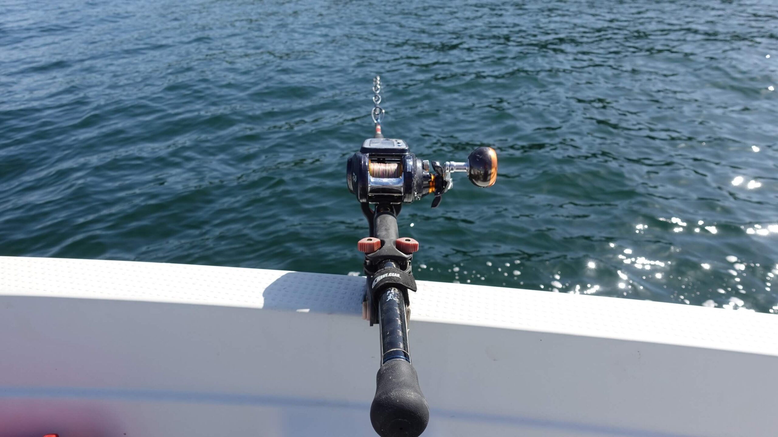 ヒラメ アオリイカ 青物 ハマチ ブリ アジの泳がせ釣りの仕掛けには 生き餌ローリングが便利と針をかける位置 12 海燕 カイエンの釣り旅