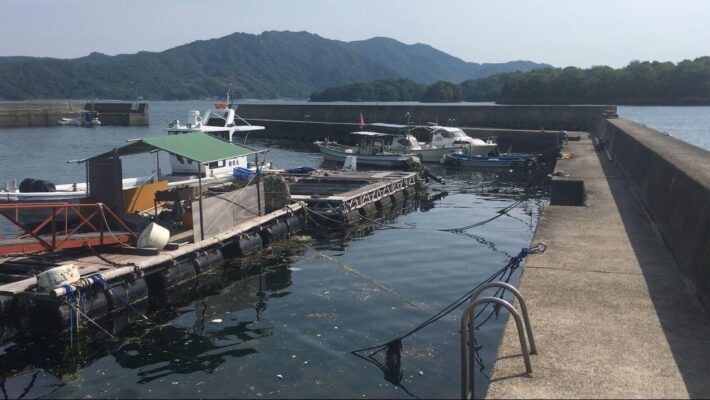 【北倉橋島】の【早瀬漁港】の釣り場紹介3