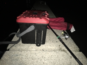 夜釣りに必須 自作バッテリー不要のおすすめ集魚灯 Yc 45uがおすすめな理由 海燕 カイエンの釣り旅