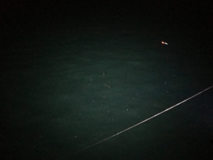 夜釣りに必須 自作バッテリー不要のおすすめ集魚灯 Yc 45uがおすすめな理由 海燕 カイエンの釣り旅
