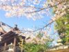 【宮島 広島】 Walk around Hiroshima Miyajima【厳島神社（世界遺産）】