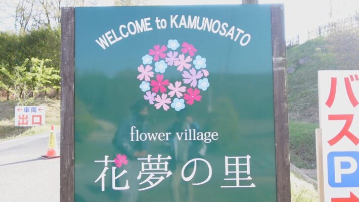 絶景 Flowervillage 花夢の里 世羅高原農場の芝桜とネモフィラの丘 広島県世羅郡 スーパーライズ Super Rise