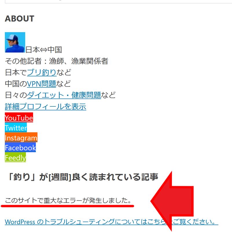 このサイトで重大なエラーが発生しました というエラーが出たときの回避方法 スーパーライズ Super Rise