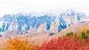 鳥取県の「大山（おおやま）」の紅葉が見頃を迎え、雪冠が見れたよ（見どころ・評判・アクセス等）