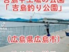 【(南)吉島釣り公園の様子】サヨリの群れが入ってきてるよ！広島県広島市