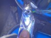広島湾の呉にある阿賀マリノでタチウオが釣れた。これから大きいのが釣れる予感。＃広島釣り
