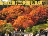 【広島の紅葉】広島空港の隣にある三景園も見頃　#広島紅葉 　#三景園