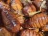 【第2弾】🇨🇳虫料理出されたんだが・・・中国人のガチ食事を紹介！旧正月（春節）の時期と毎日の食事から過ごし方はコレ