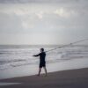 【釣果傾向の紹介】「広島釣り」広島湾、ベイサイドビーチ坂で堤防から青物が好調で、江田島方面でキジハタが釣れています。草津港でメバルとかいう美味しい魚が釣れてるよ