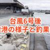 【広島】台風6号後の商工センター「草津港」の様子と釣果傾向。被害は限定的で、タコ釣りの方が多く訪れていますね。