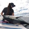 [釣りガール]水着ポニーテール美少女がSUP（サップフィッシング）でクロマグロ、ブリ、ヒラマサ、95cmのヒラメを釣る「釣りきちみみぞう」