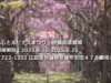 藤広大な「ふじ」【せらふじ園】のふじまつり「世羅高原農場」が奇麗だったよ。「広島県世羅郡」